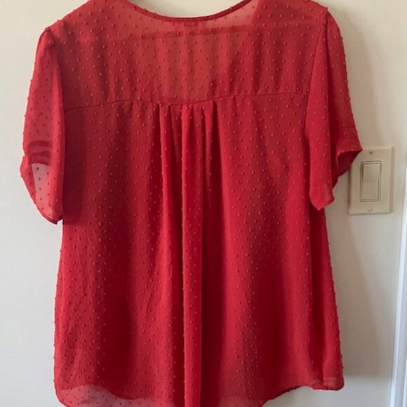 DR2 2- pc Burnt Orange Blouse/Camisole Cap Sleeves Size XL - Picture 5 of 9